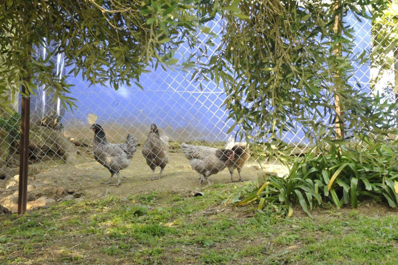 Finca La Cantarera Таріфа Екстер'єр фото
